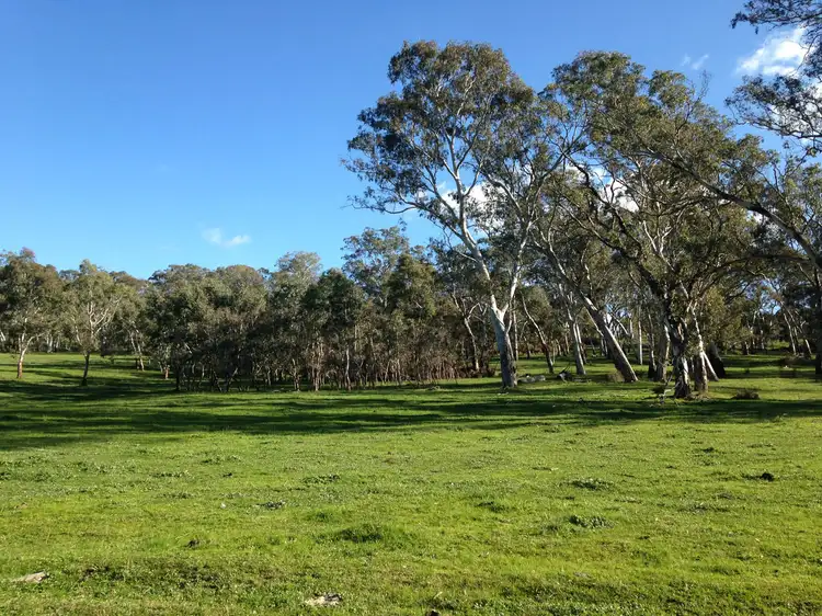 Fifth view of Homely land listing, 29 Hammer Road, Mount Torrens SA 5244