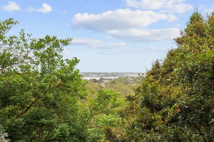 305/284 Pacific Highway, Artarmon NSW 2064