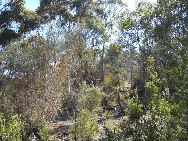 Sixth view of Homely rural property listing, 1 Hines Road, Flinders Island TAS 7255