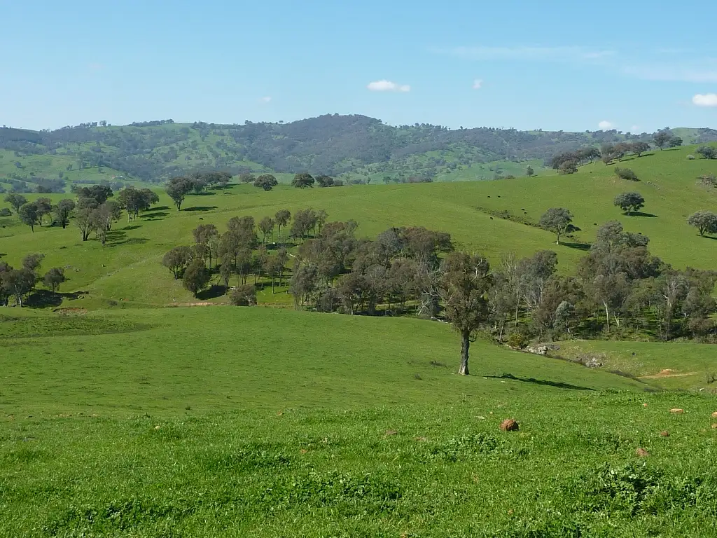 Main view of Homely rural property listing, 642 Westbrook Road, Tarcutta via, Wagga Wagga NSW 2650