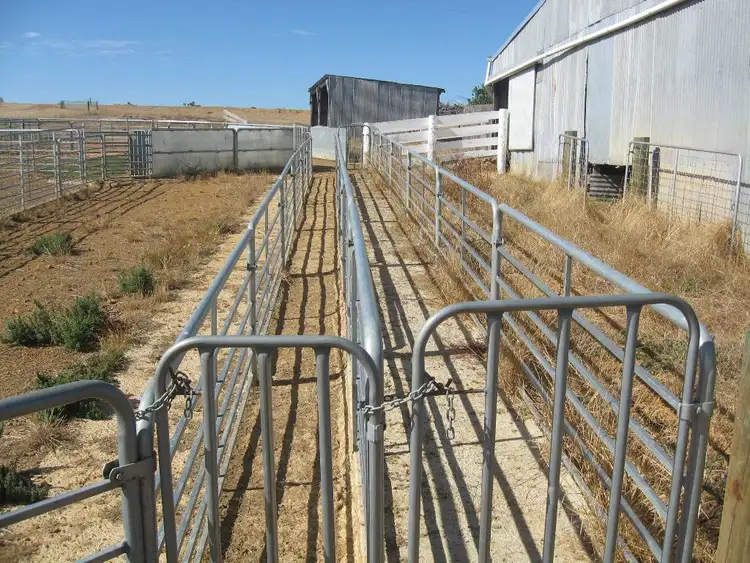 Fourth view of Homely rural property listing, 354 RANDALL ROAD, Perillup WA 6324