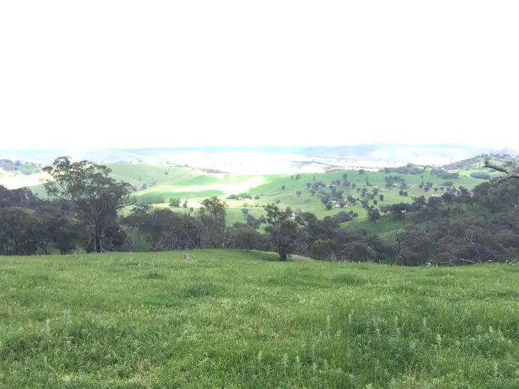 Fifth view of Homely rural property listing, 3938 Snowy Mountains Highway, Adelong NSW 2729