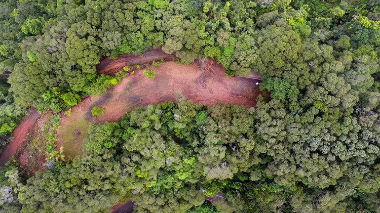 Sixth view of Homely land listing, 943 Cape Trib Road Kimberley, Daintree QLD 4873