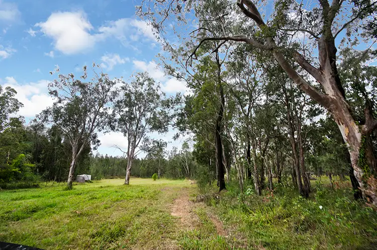 Fifth view of Homely rural property listing, 567 Wooli Road, Pillar Valley NSW 2462