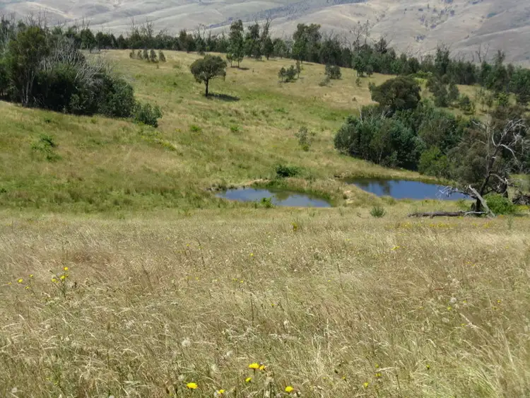 Seventh view of Homely rural property listing, 1118 Omeo Highway, Omeo VIC 3898