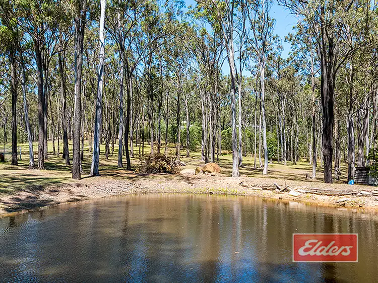 Fifth view of Homely house listing, 218 Amber Crescent, Jimboomba QLD 4280
