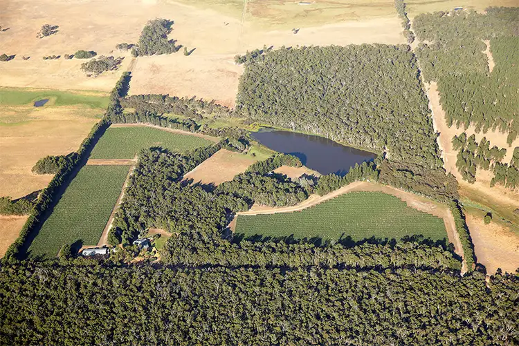 399 Holben Road, Cowaramup WA 6284