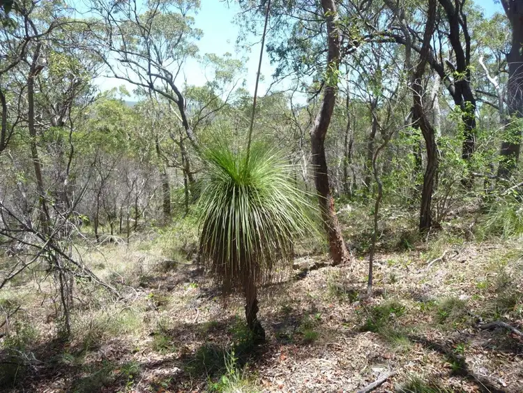 Seventh view of Homely land listing, Lot 52 Lady Elliot Drive, Agnes Water QLD 4677