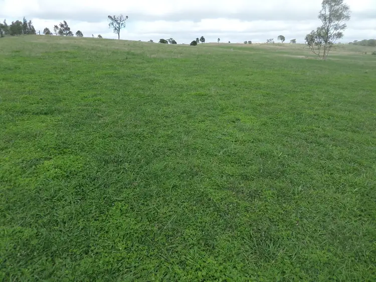 Third view of Homely rural property listing, 3396 Windellema Road, Windellama NSW 2580