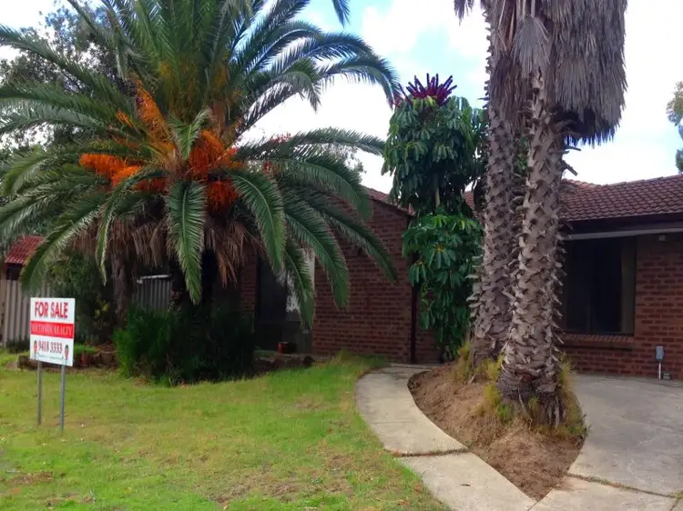 64 Osprey Drive, Yangebup WA 6164