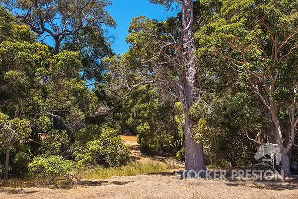 Sixth view of Homely rural property listing, Lot 102 Scott Road, Karridale WA 6288