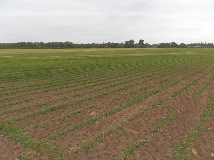 Second view of Homely land listing, 135 Argyle Reach Rd, Wilberforce NSW 2756