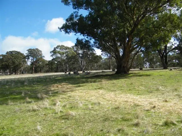 Fourth view of Homely house listing, 3567 Ballarat - Maryborough Road, Clunes VIC 3370