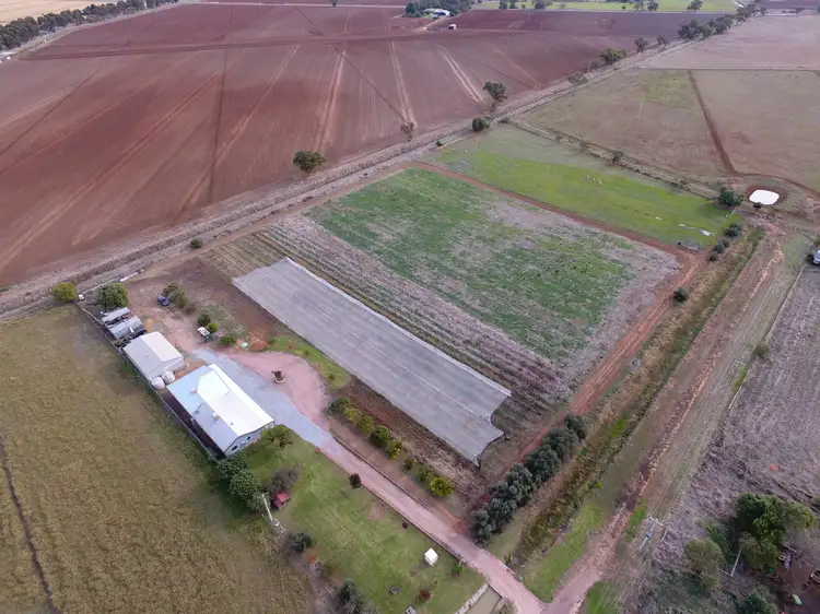 29 Emerson Road, Leeton NSW 2705