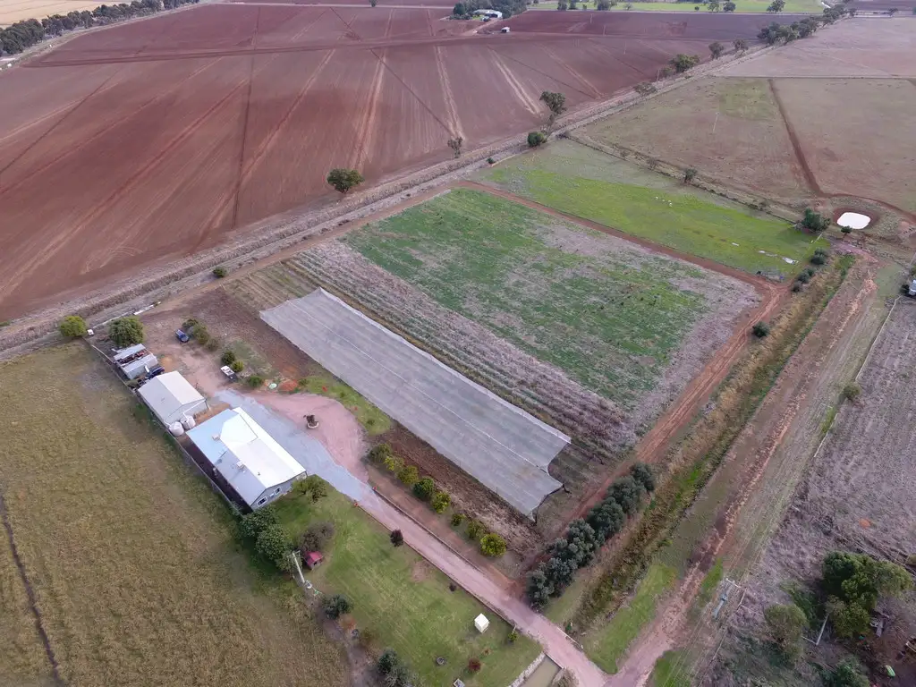 Main view of Homely house listing, 29 Emerson Road, Leeton NSW 2705