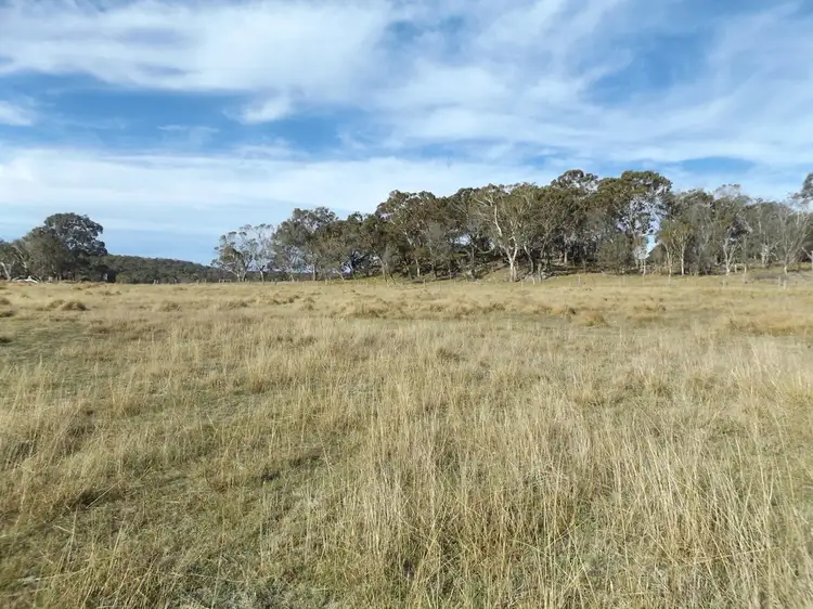 Second view of Homely rural property listing, Address available on request