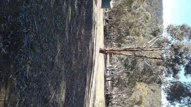 Fifth view of Homely land listing, 37 Peninsula Rd, Anglers Reach NSW 2629