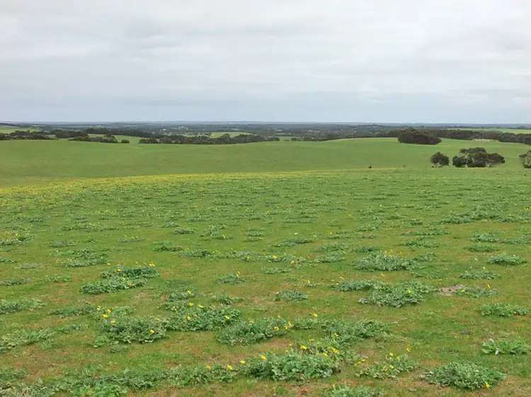 Second view of Homely rural property listing, Section 30 Three Chain Rd, Haines SA 5223