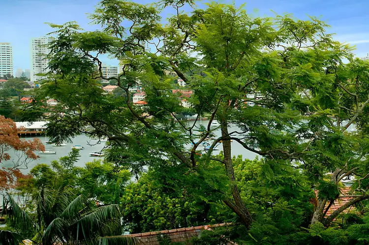 Fourth view of Homely apartment listing, 15/532 New South Head Road, Double Bay NSW 2028