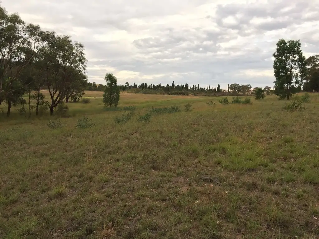 Main view of Homely rural property listing, 135 Montaza Road, Mudgee NSW 2850