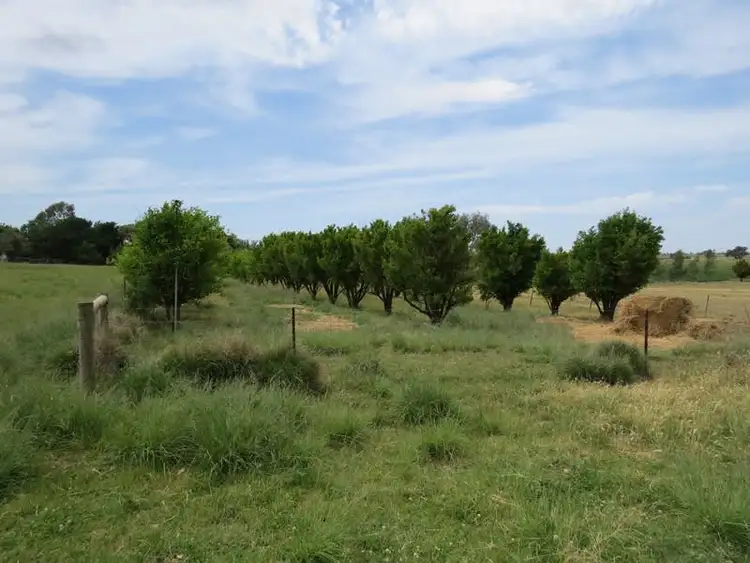 Fourth view of Homely rural property listing, 2619 Murray Valley Highway, Cobram East VIC 3644