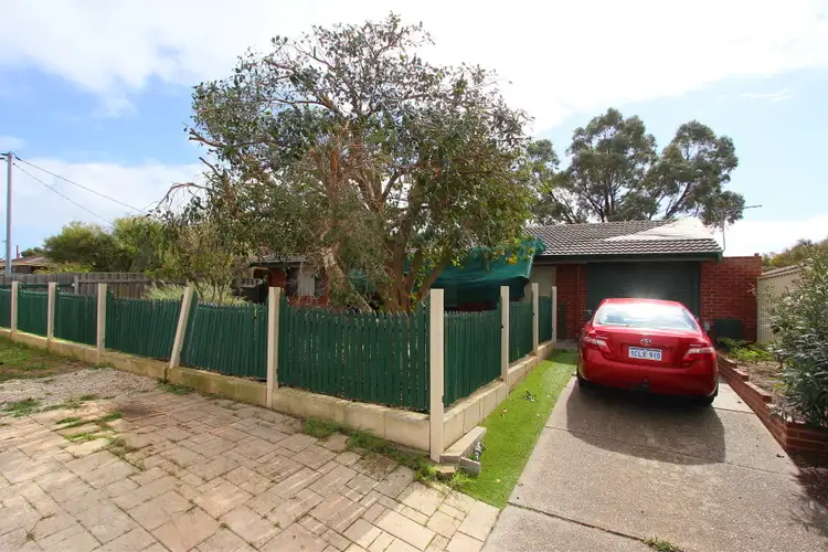 3 Macedon Place, Craigie WA 6025
