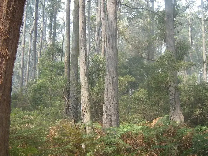 Fifth view of Homely rural property listing, - Douglas Road, Kindred TAS 7310