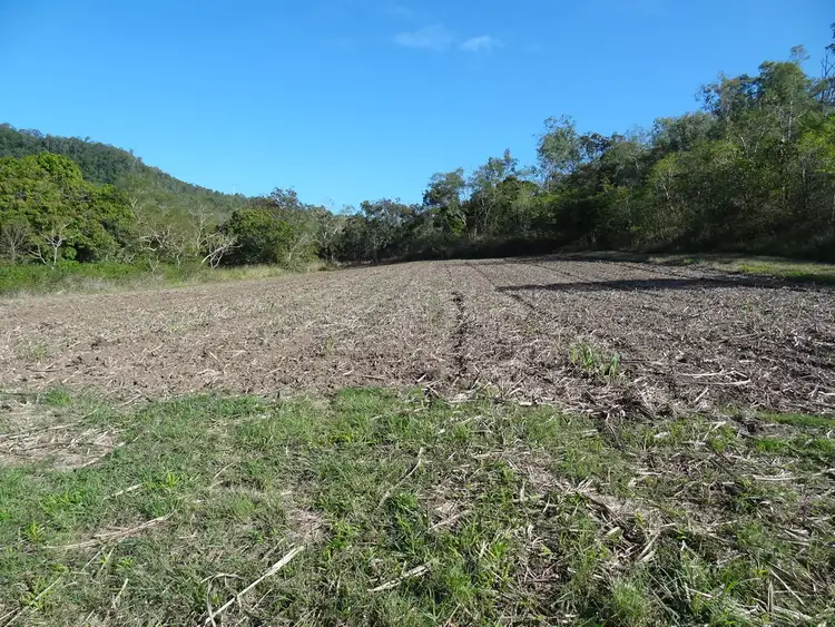 Fourth view of Homely land listing, 571 Devereux Creek Road, Devereux Creek QLD 4753