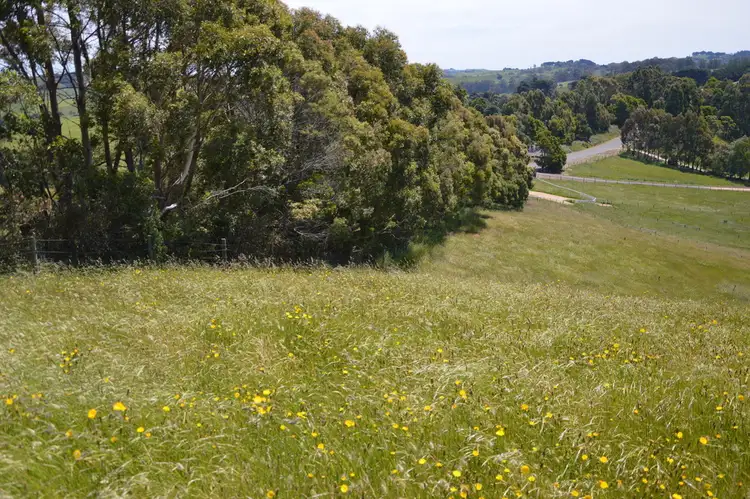 Sixth view of Homely rural property listing, Lot 3, 2365 GRAND RIDGE ROAD, Hallston VIC 3953