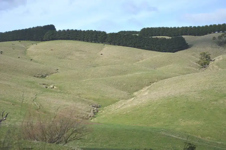 Seventh view of Homely rural property listing, 1065 BENA-KONGWAK ROAD, Kongwak VIC 3951