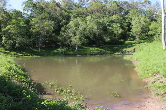 Sixth view of Homely house listing, Mt Martin Loop Road, Mount Martin QLD 4754