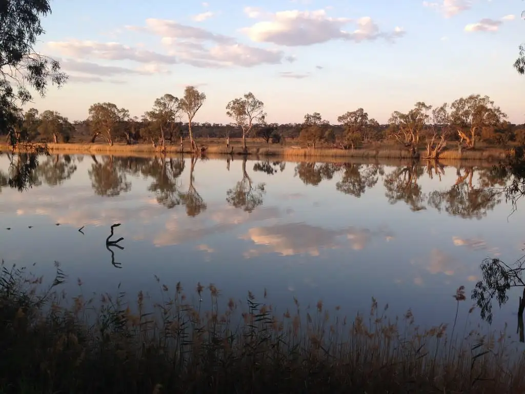 Main view of Homely house listing, 29 Burrows Road, Waikerie SA 5330