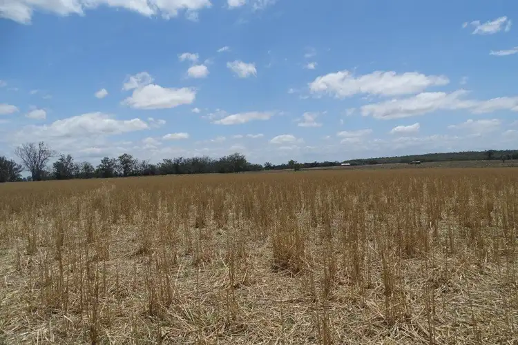 Sixth view of Homely rural property listing, Lot 1 SP224909 Greenup Road, Oman Ama QLD 4352