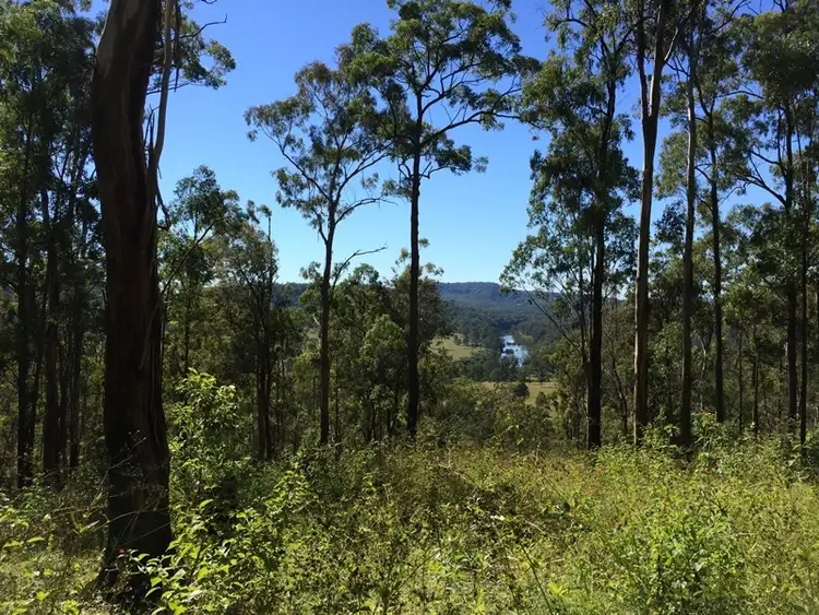 Second view of Homely rural property listing, Lot 7 + 3 Boundary Creek Road, Nymboida NSW 2460