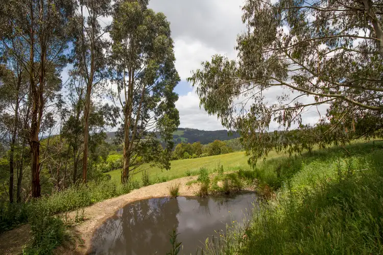 Third view of Homely house listing, 256 Earls Road, Yarragon South VIC 3823