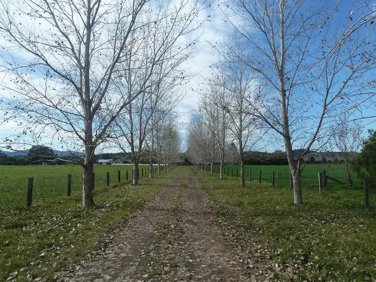 Third view of Homely rural property listing, 850 Wiangaree Back Road, Kyogle NSW 2474