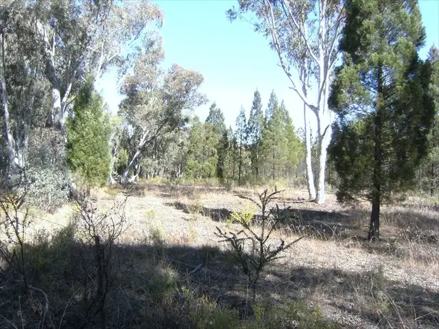 Main view of Homely land listing, Address available on request