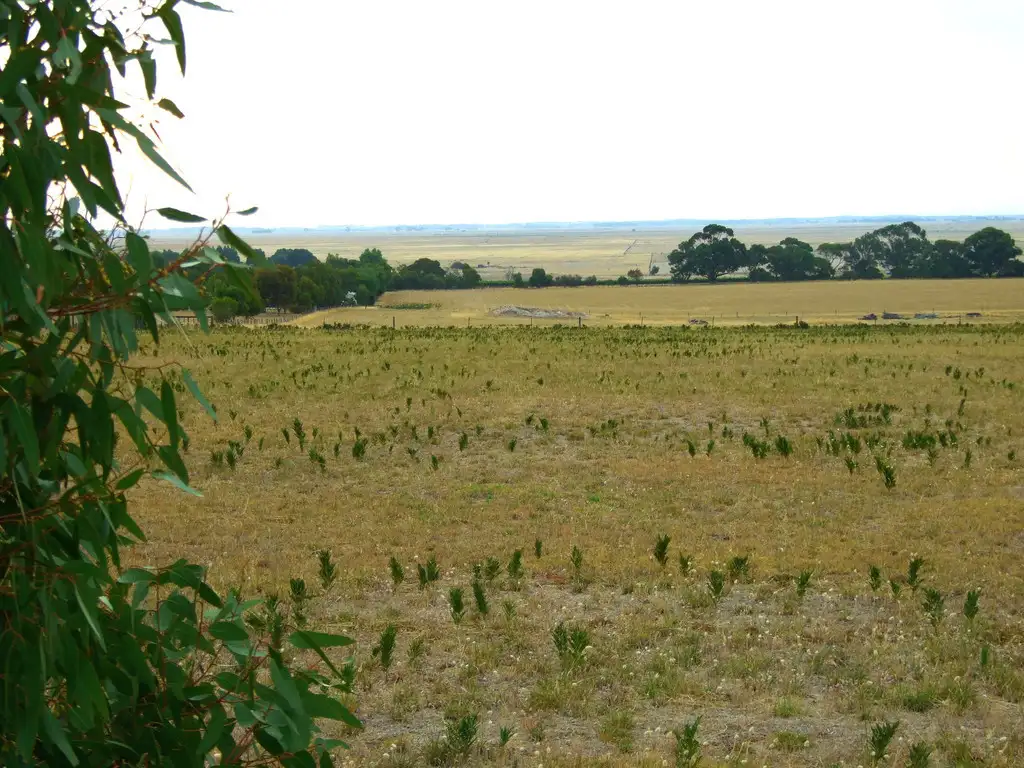 Main view of Homely house listing, Lot 20 Cedar Avenue, Naracoorte SA 5271