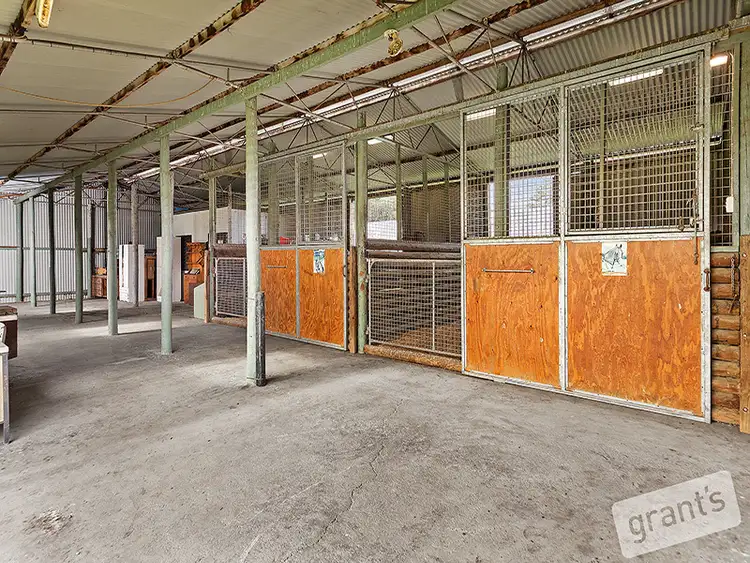 Fifth view of Homely rural property listing, 6 Shekleton Street, Pearcedale VIC 3912