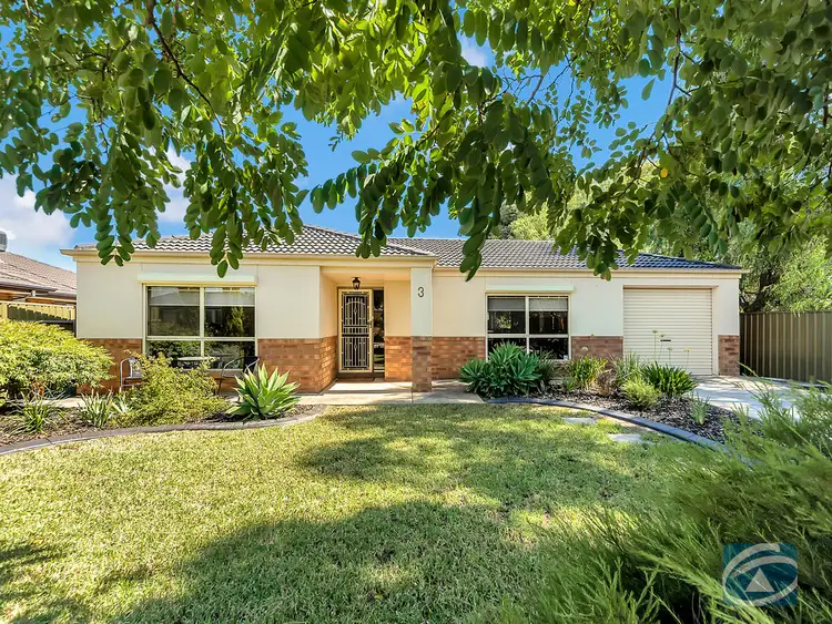 Second view of Homely house listing, 3 Cox Court, Evanston SA 5116
