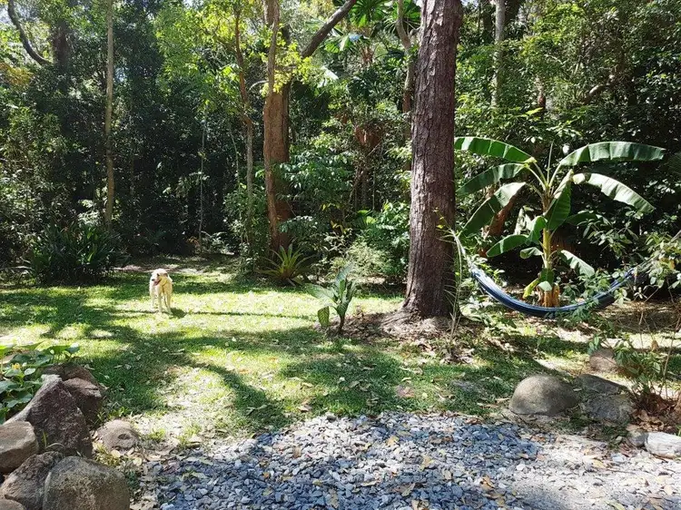 Fifth view of Homely house listing, 205 Cedar Road, Daintree QLD 4873