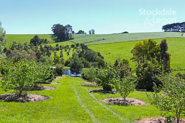 Sixth view of Homely rural property listing, 30 Hydes Road, Koorooman VIC 3953