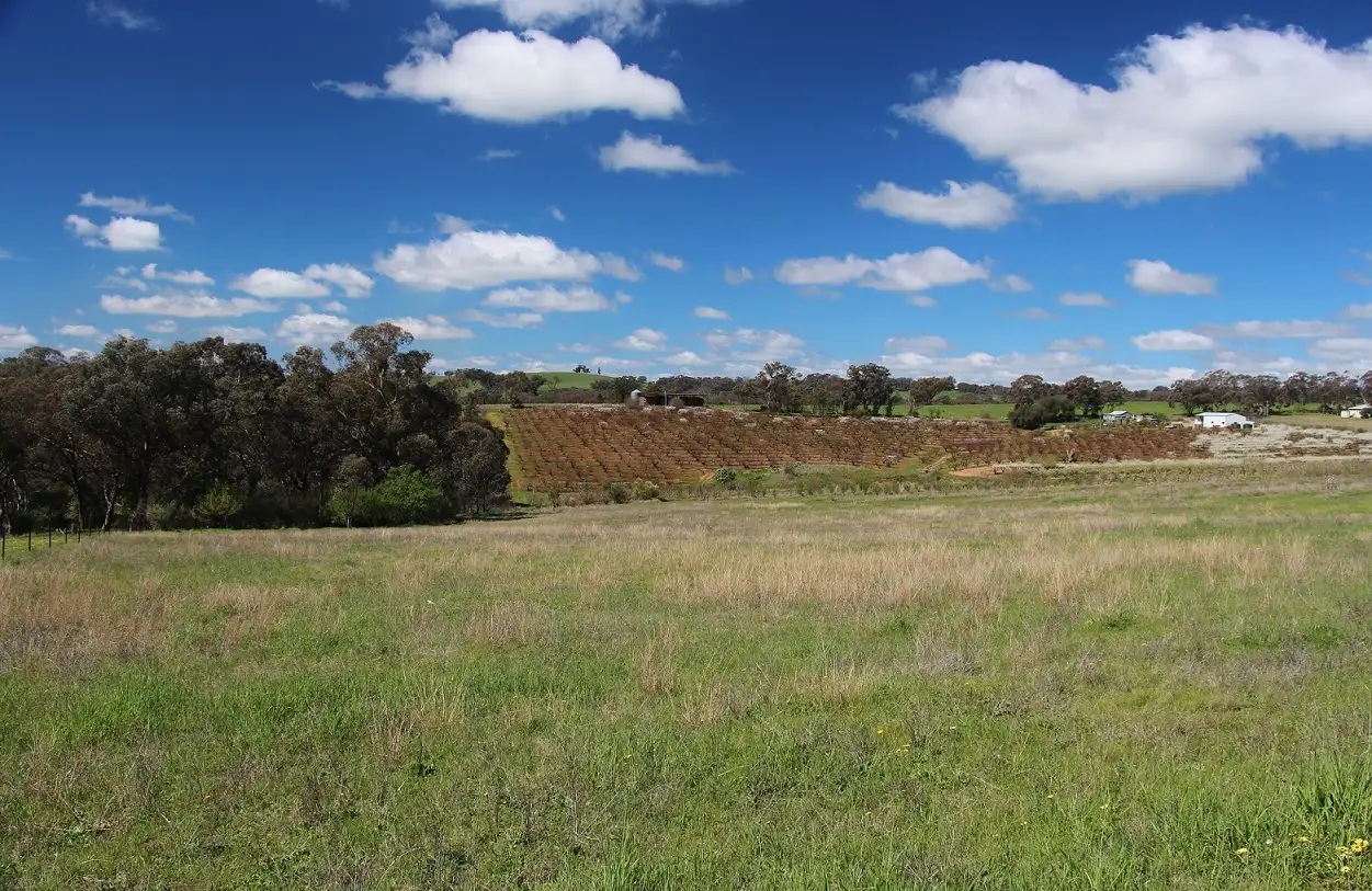 Main view of Homely land listing, 151 Chums Lane, Young NSW 2594