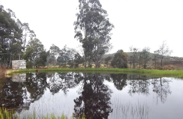 Third view of Homely rural property listing, 317 South Nietta Road, Nietta TAS 7315