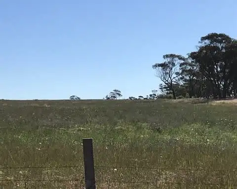 Sixth view of Homely rural property listing, 'Stonehaven' Bruce Rock - Quairading Road, Kwolyin WA 6385