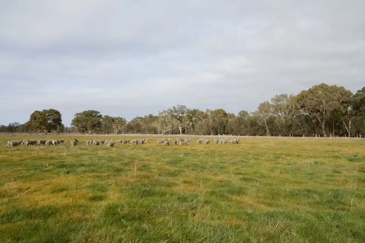 Second view of Homely rural property listing, Allot 42A Benayeo Road, Benayeo VIC 3319