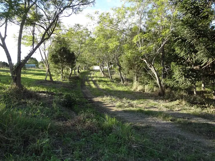Sixth view of Homely rural property listing, 199 Hill Road, Mothar Mountain QLD 4570