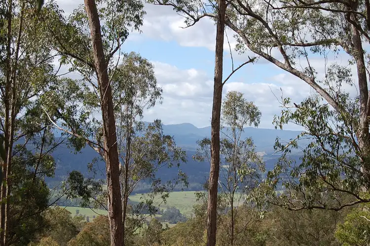 Seventh view of Homely rural property listing, Lot 101 Duck Creek Road, Old Bonalbo NSW 2469