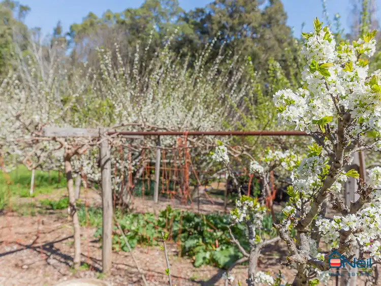 Fourth view of Homely house listing, 496 Albany Highway, Bedfordale WA 6112