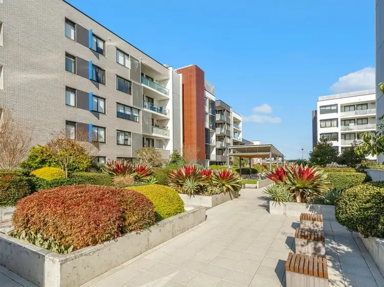 303/68 Charlotte Street